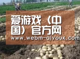 种植基地七(图1)