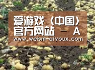 种植基地七