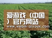 种植基地五