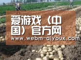 种植基地八