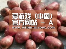 产品展示标题5