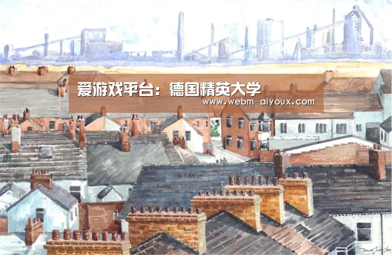 爱游戏平台:德国精英大学(图1) 爱游戏入口