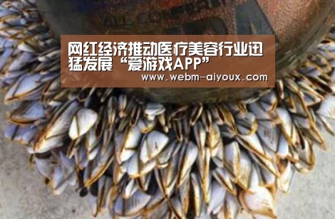 爱游戏入口