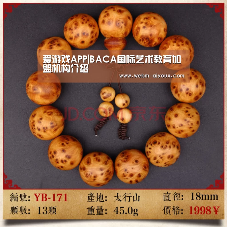爱游戏APP|BACA国际艺术教育加盟机构介绍(图1) 爱游戏下载