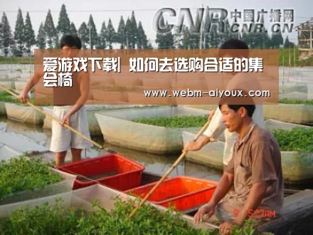 爱游戏下载|
如何去选购合适的集会椅(图2) 爱游戏下载