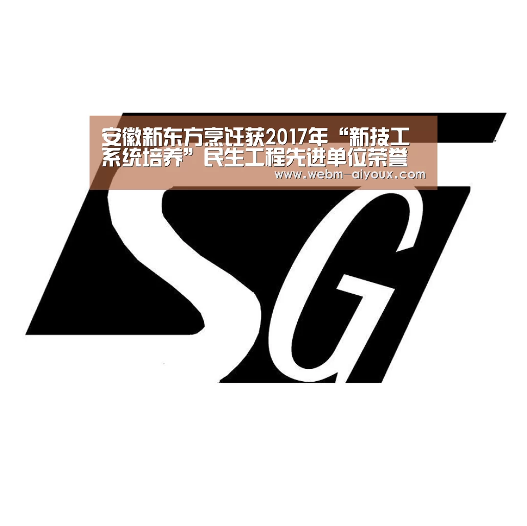 安徽新东方烹饪获2017年“新技工系统培养”民生工程先进单位荣誉称号:爱游戏全站(图3) 爱游戏全站