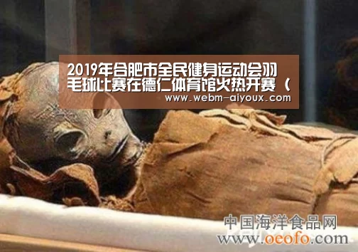 2019年合肥市全民健身运动会羽毛球比赛在德仁体育馆火热开赛(图)【爱游戏平台】(图3) 爱游戏平台