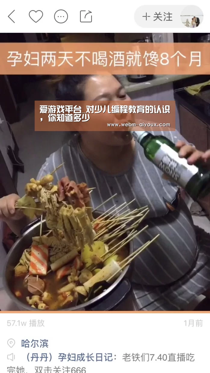 爱游戏平台_对少儿编程教育的认识,你知道多少(图3) 爱游戏入口