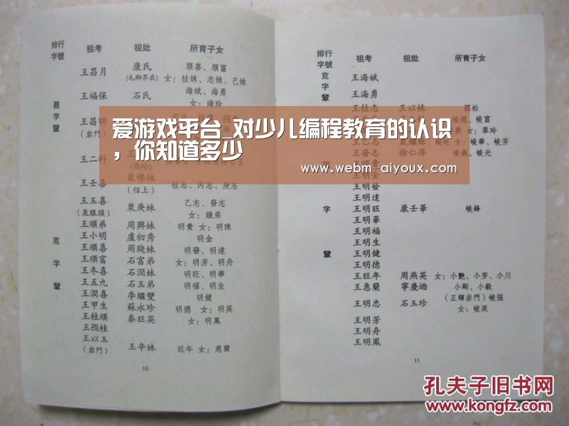 爱游戏平台_对少儿编程教育的认识,你知道多少(图2) 爱游戏APP